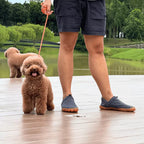 Healthy & non-slip barefoot shoes